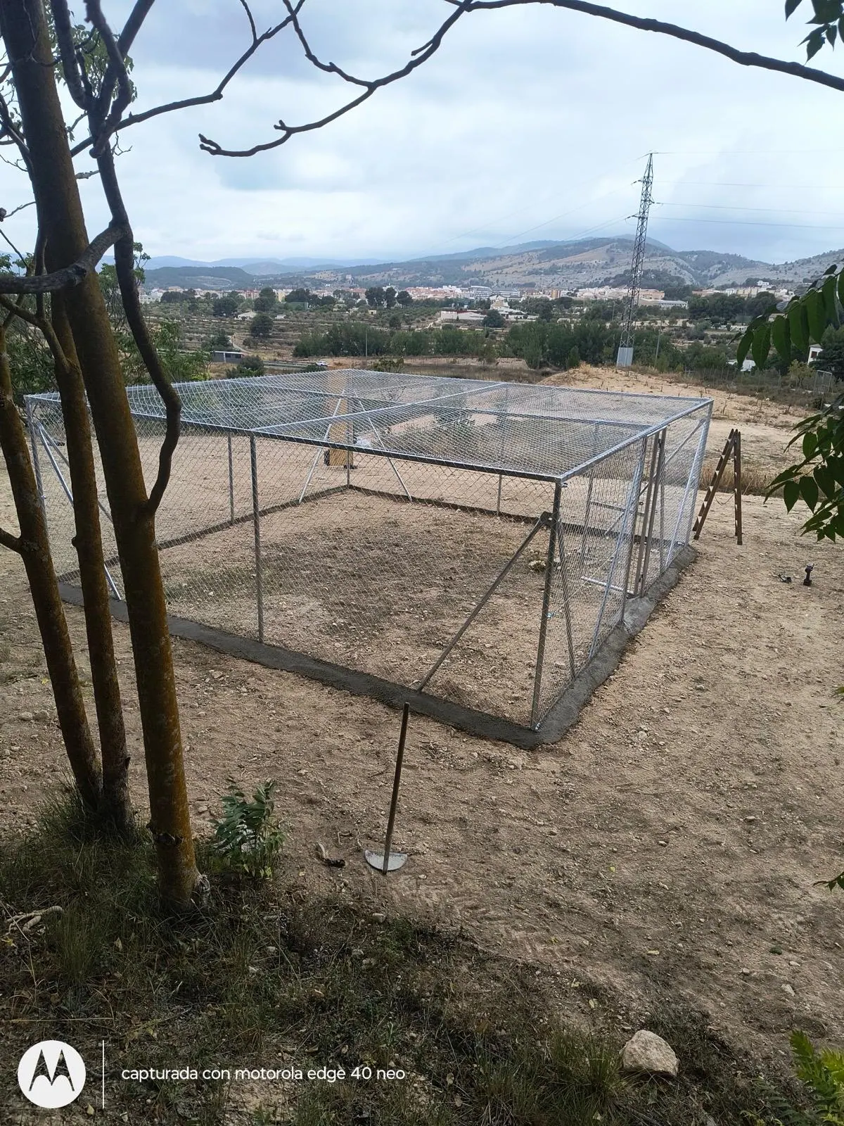 Perreras a medida en Alicante
